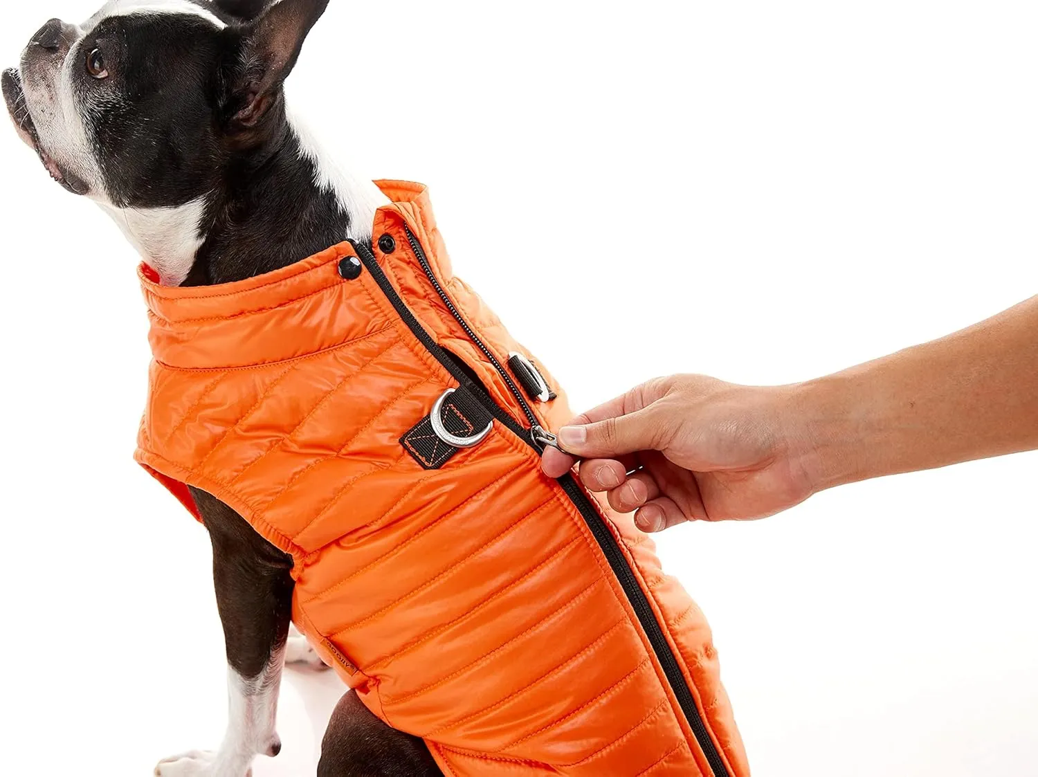 Gooby Puffer Vest Dog Jacket - Turquoise, Medium - Ultra Thin Zip Up Wind Breaker with Dual D Ring Leash - Water Resistant Small Dog Sweater Coat - Dog Clothes for Small Dogs Boy or Medium Dogs, (18")