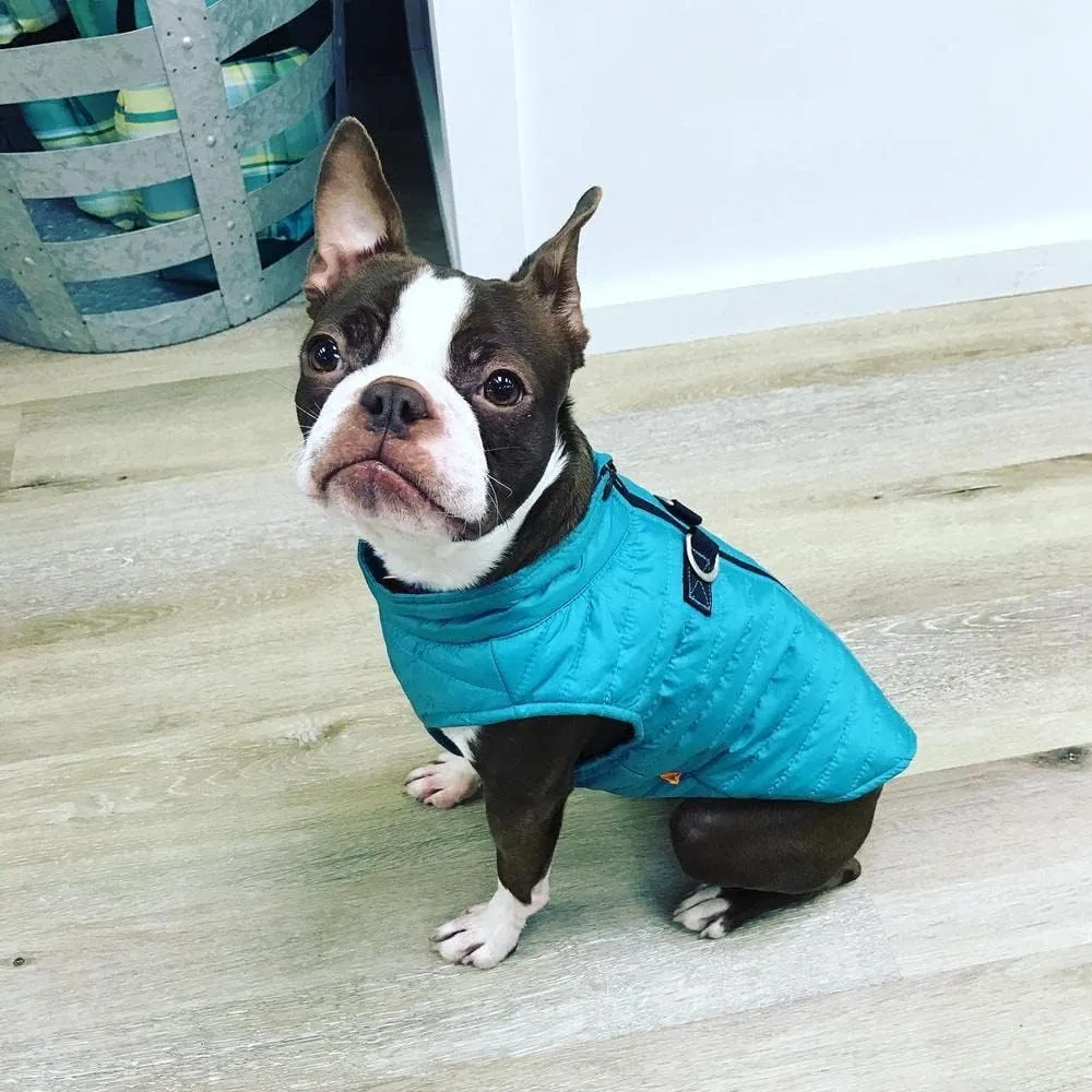 Gooby Puffer Vest Dog Jacket - Turquoise, Medium - Ultra Thin Zip Up Wind Breaker with Dual D Ring Leash - Water Resistant Small Dog Sweater Coat - Dog Clothes for Small Dogs Boy or Medium Dogs, (18")