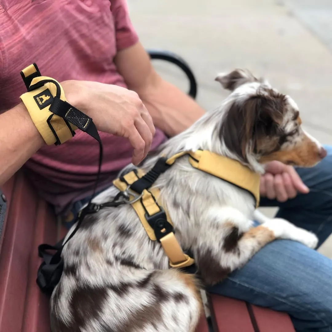 Gooby Ripstop Z Wrist Band Surfer Leash - Yellow, 6 FT - Comfortable Hands Free Leash with Elastic Band for Small, Medium and Large Dogs