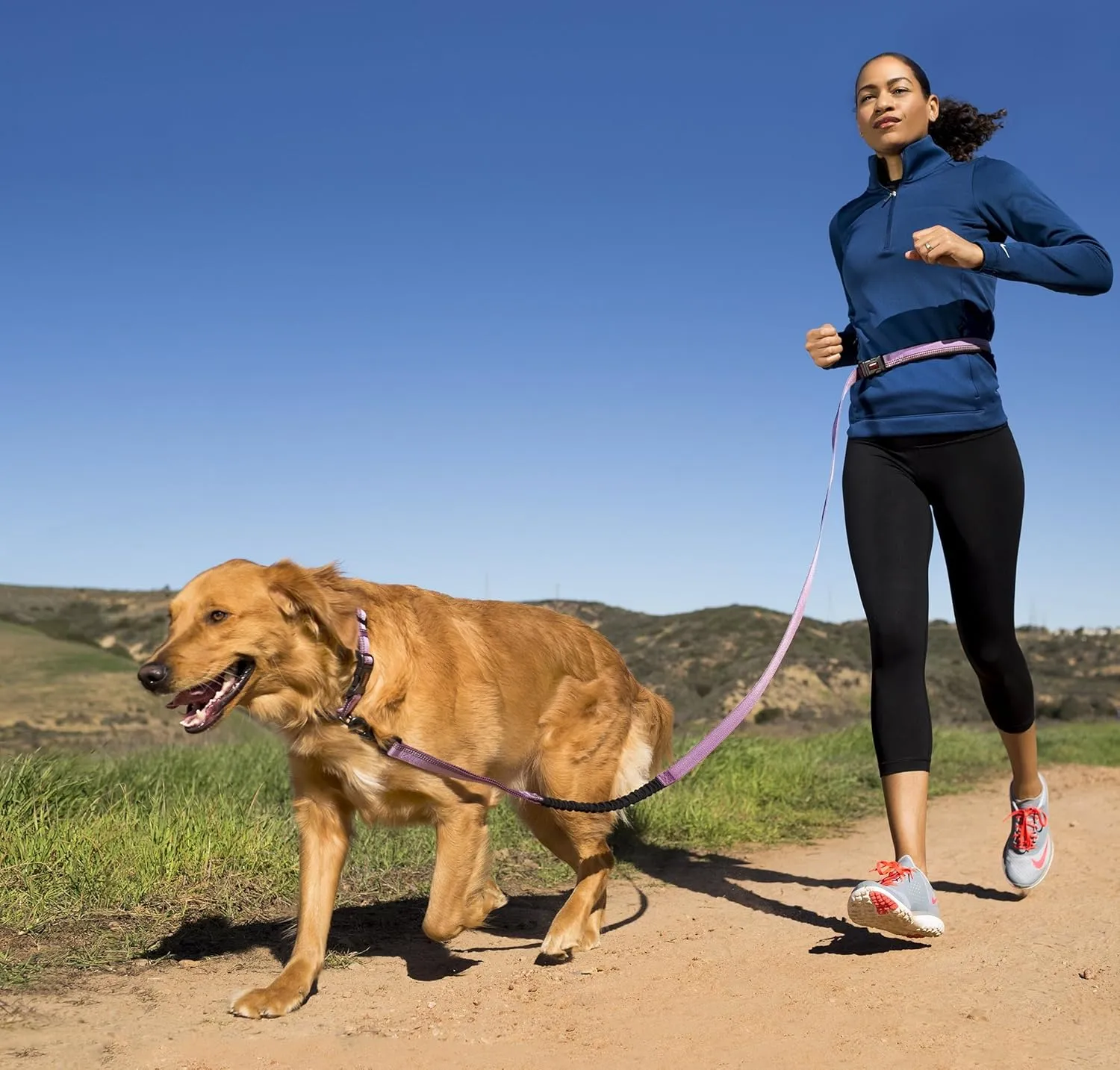 HALTI Active Leash - Award-Winning Bungee Dog Leash, Shock-Absorbing, All-in-One Neoprene Padded Belt & Lead, Perfect for Running & Training with Medium & Large Dogs (Size Large, Black)