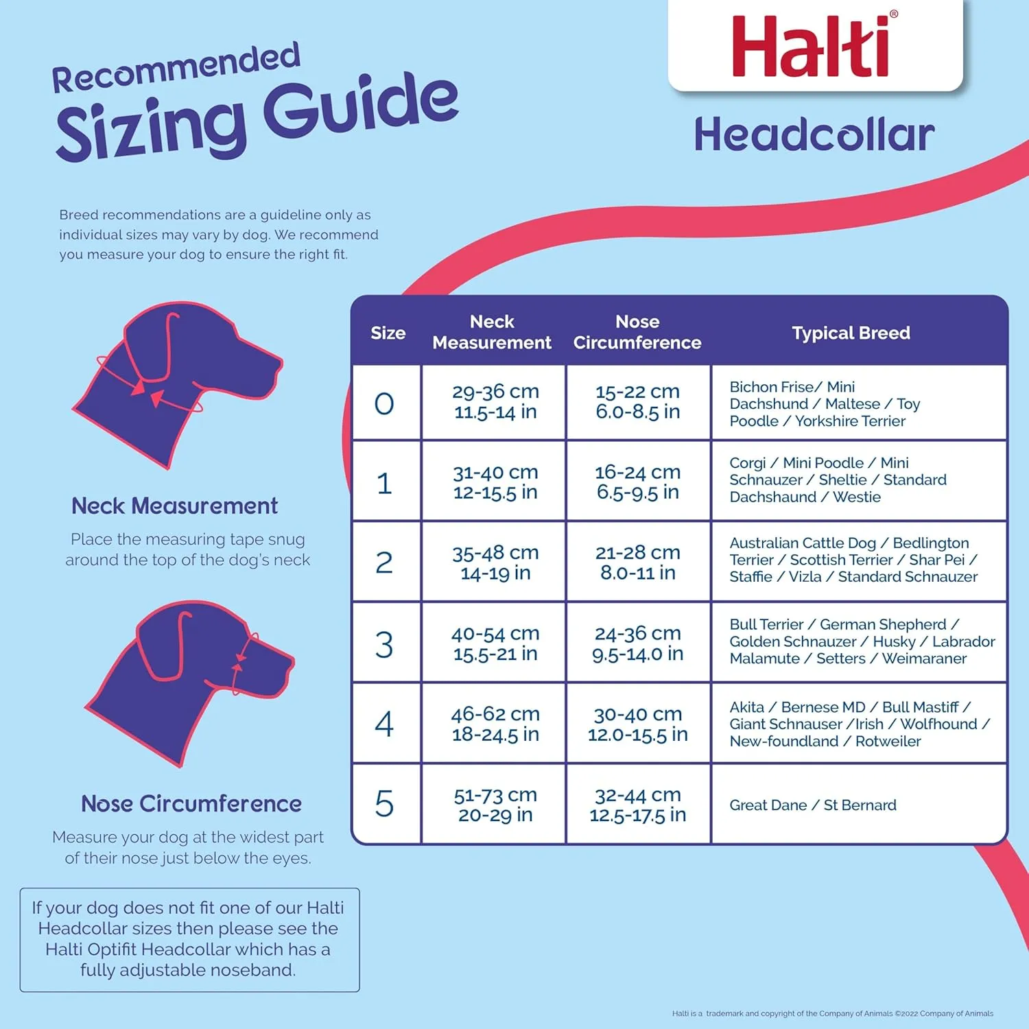 HALTI Headcollar - to Stop Your Dog Pulling on The Leash. Adjustable, Reflective and Lightweight, with Padded Nose Band. Dog Training Anti-Pull Collar for Large Dogs (Size 4, Cobalt Blue)