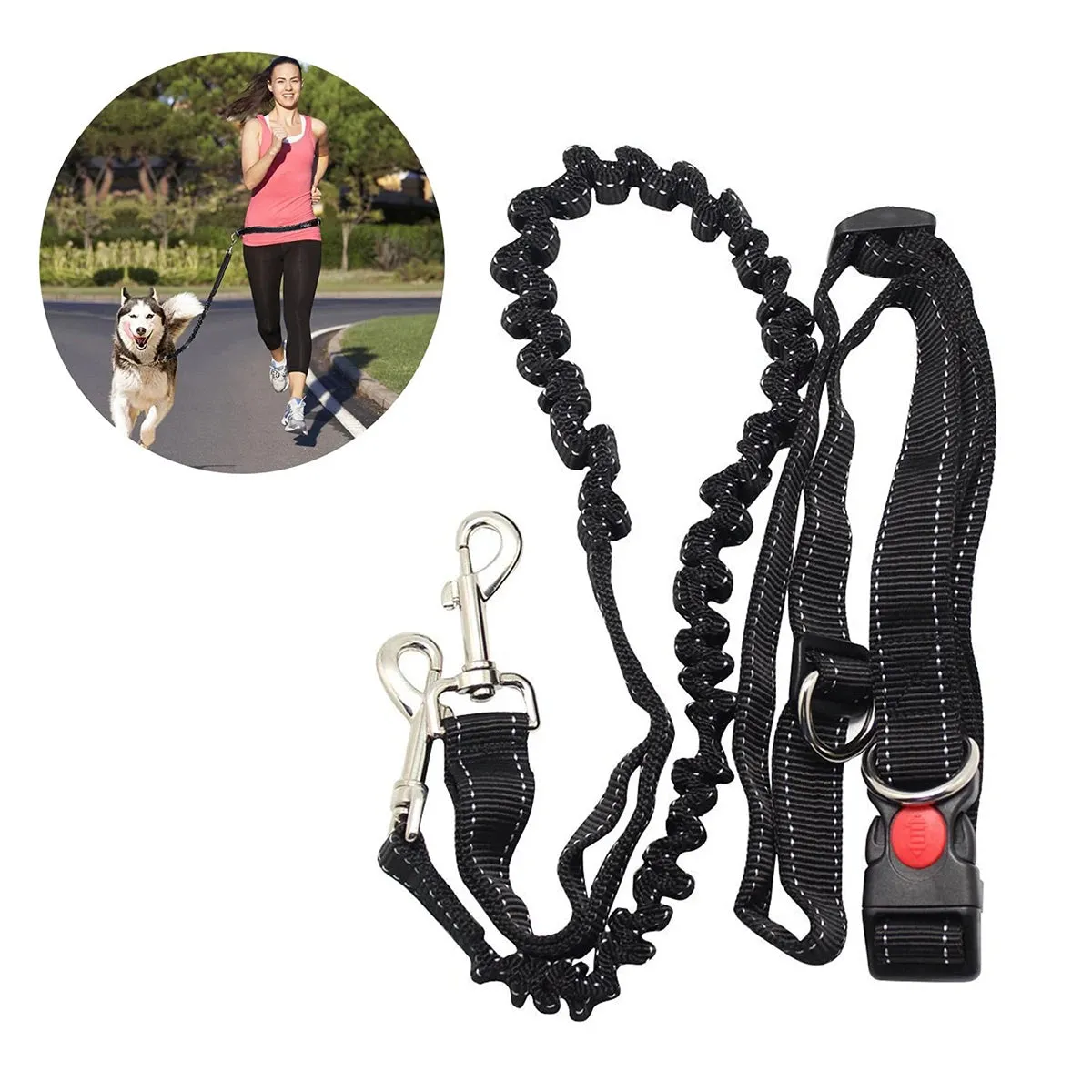 Hands Free Dog Leash
