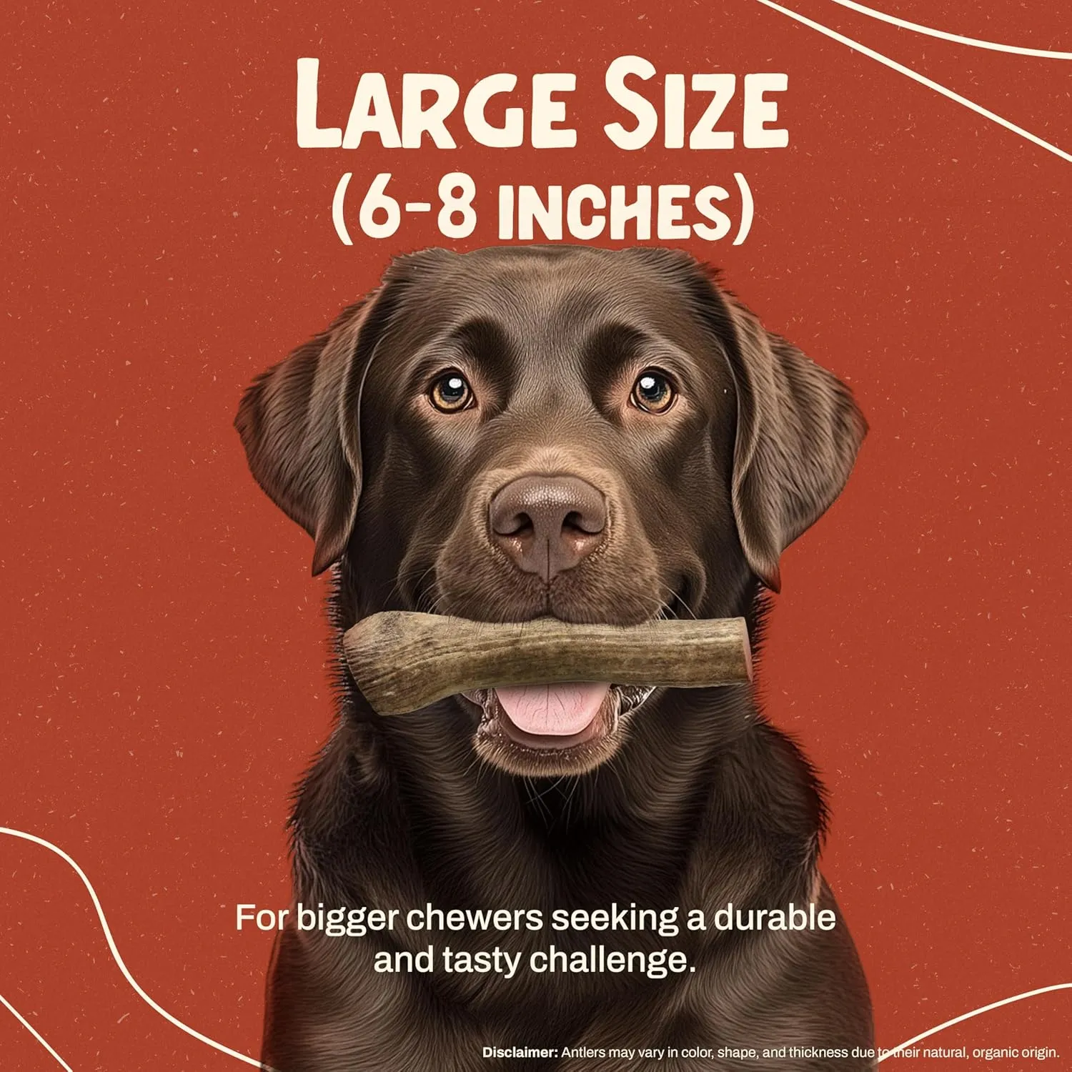 Heartland Elk Antlers for Dogs (Whole Elk, 7", Large, 1-Pack) – Grade A, Naturally Shed | Long-Lasting, Safe Chew for Aggressive Chewers & Puppies | Splinter-Free | USA Made | Veteran Owned