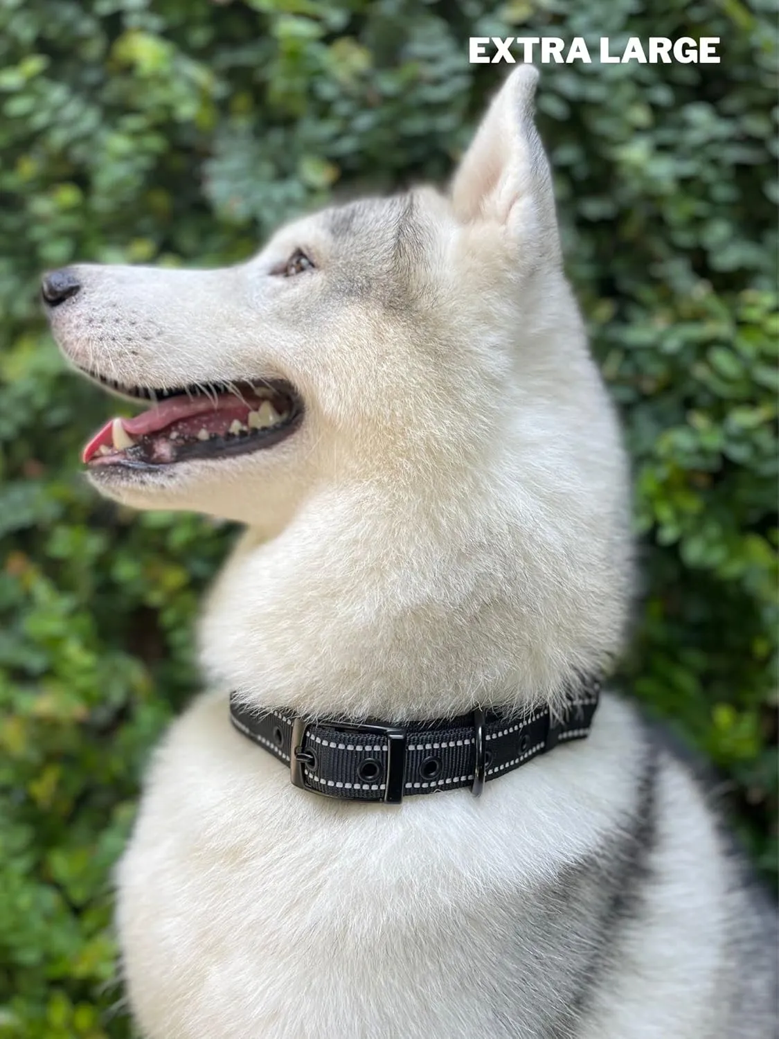 Heavy Duty Dog Collar with Handle | Ballistic Nylon Heavy Duty Collar | Padded Reflective Dog Collar with Adjustable Stainless Steel Hardware | Convenient Sizing for All Breeds X-Large (19-23" Neck)