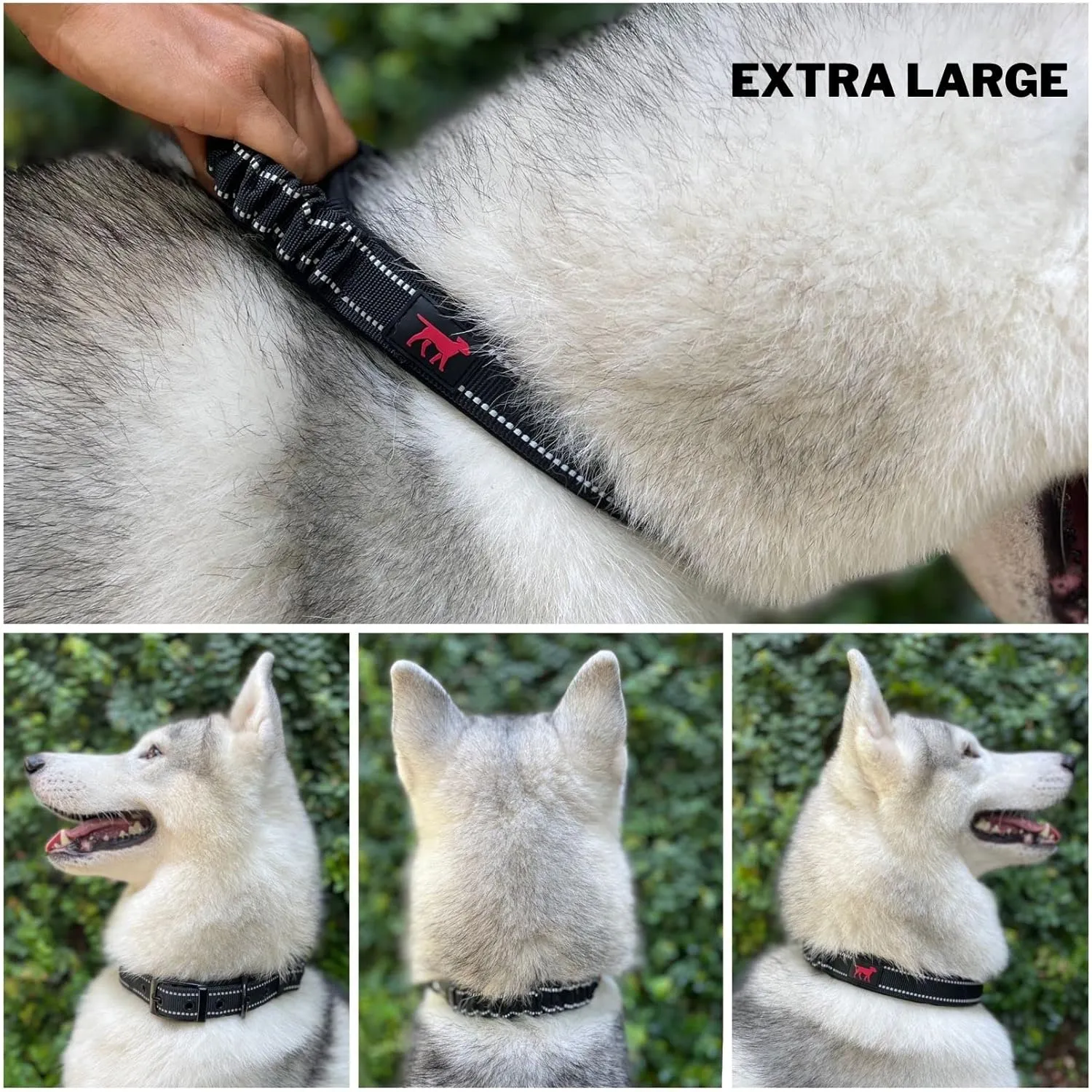 Heavy Duty Dog Collar with Handle | Ballistic Nylon Heavy Duty Collar | Padded Reflective Dog Collar with Adjustable Stainless Steel Hardware | Convenient Sizing for All Breeds X-Large (19-23" Neck)