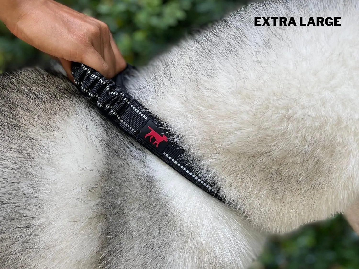 Heavy Duty Dog Collar with Handle | Ballistic Nylon Heavy Duty Collar | Padded Reflective Dog Collar with Adjustable Stainless Steel Hardware | Convenient Sizing for All Breeds X-Large (19-23" Neck)