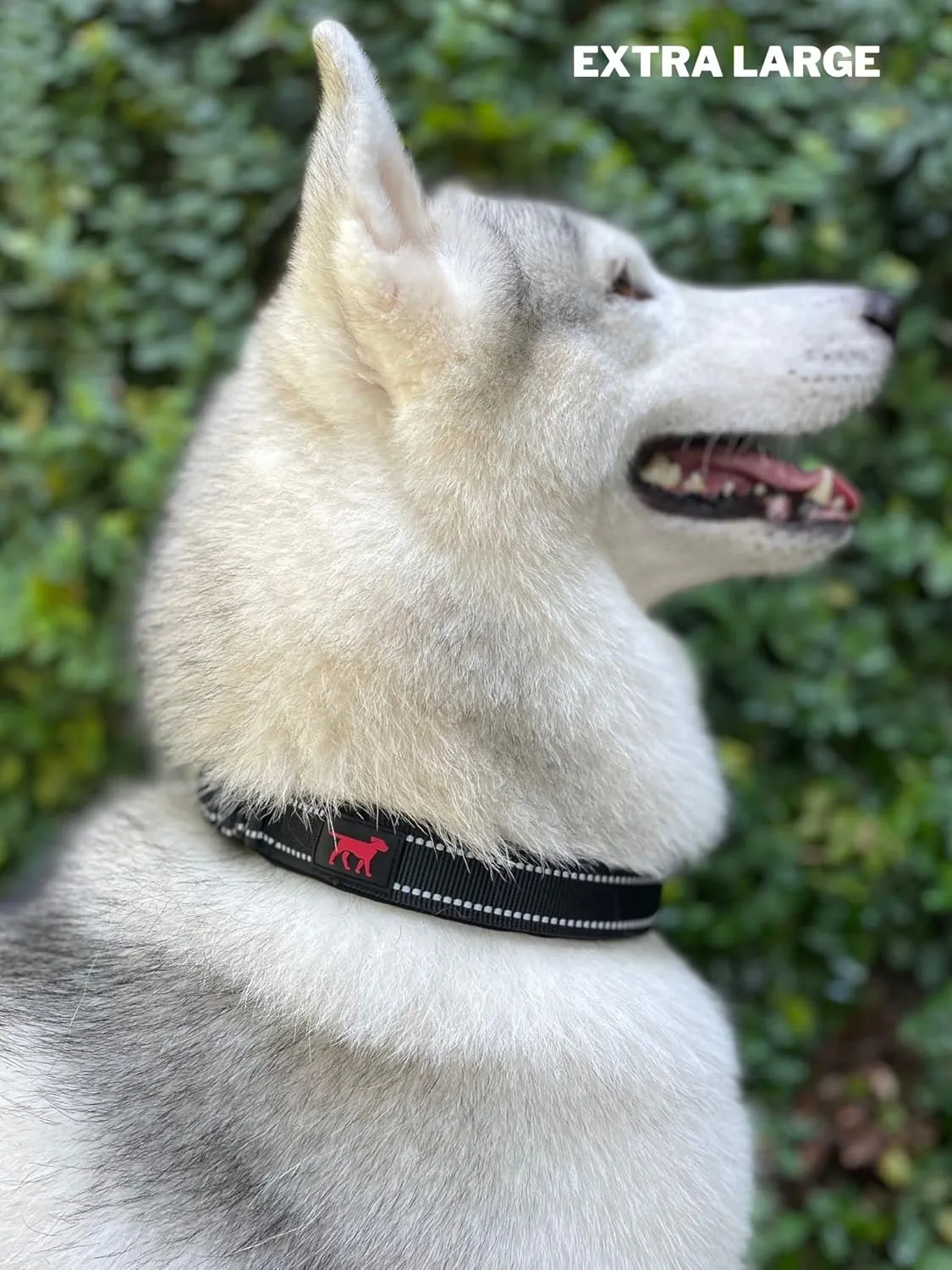 Heavy Duty Dog Collar with Handle | Ballistic Nylon Heavy Duty Collar | Padded Reflective Dog Collar with Adjustable Stainless Steel Hardware | Convenient Sizing for All Breeds X-Large (19-23" Neck)