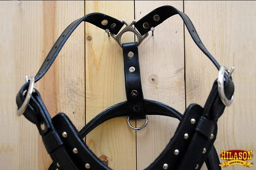HILASON Black X Small Leather Dog Harness Padded Genuine Matching Leash X Small Black | Dog Harness | Dog Leash | Leather Dog Leash | Dog Walking Harness | Dog Harness with Leash | Dog Leash Harness