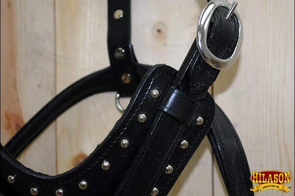HILASON Black X Small Leather Dog Harness Padded Genuine Matching Leash X Small Black | Dog Harness | Dog Leash | Leather Dog Leash | Dog Walking Harness | Dog Harness with Leash | Dog Leash Harness