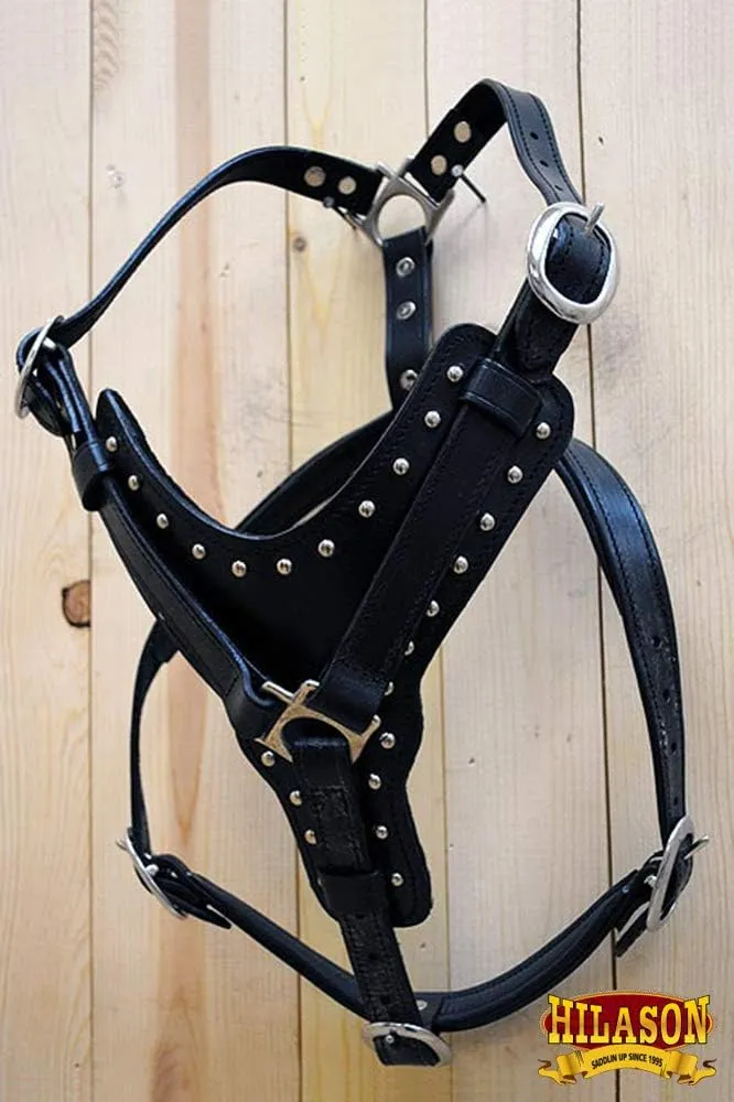 HILASON Black X Small Leather Dog Harness Padded Genuine Matching Leash X Small Black | Dog Harness | Dog Leash | Leather Dog Leash | Dog Walking Harness | Dog Harness with Leash | Dog Leash Harness