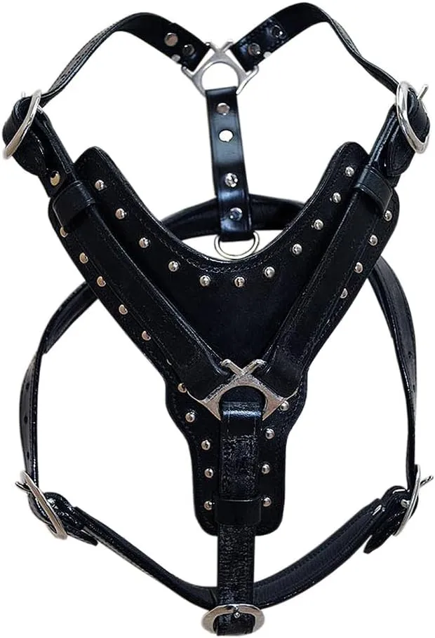 HILASON Black X Small Leather Dog Harness Padded Genuine Matching Leash X Small Black | Dog Harness | Dog Leash | Leather Dog Leash | Dog Walking Harness | Dog Harness with Leash | Dog Leash Harness