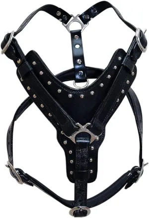 HILASON Black X Small Leather Dog Harness Padded Genuine Matching Leash X Small Black | Dog Harness | Dog Leash | Leather Dog Leash | Dog Walking Harness | Dog Harness with Leash | Dog Leash Harness