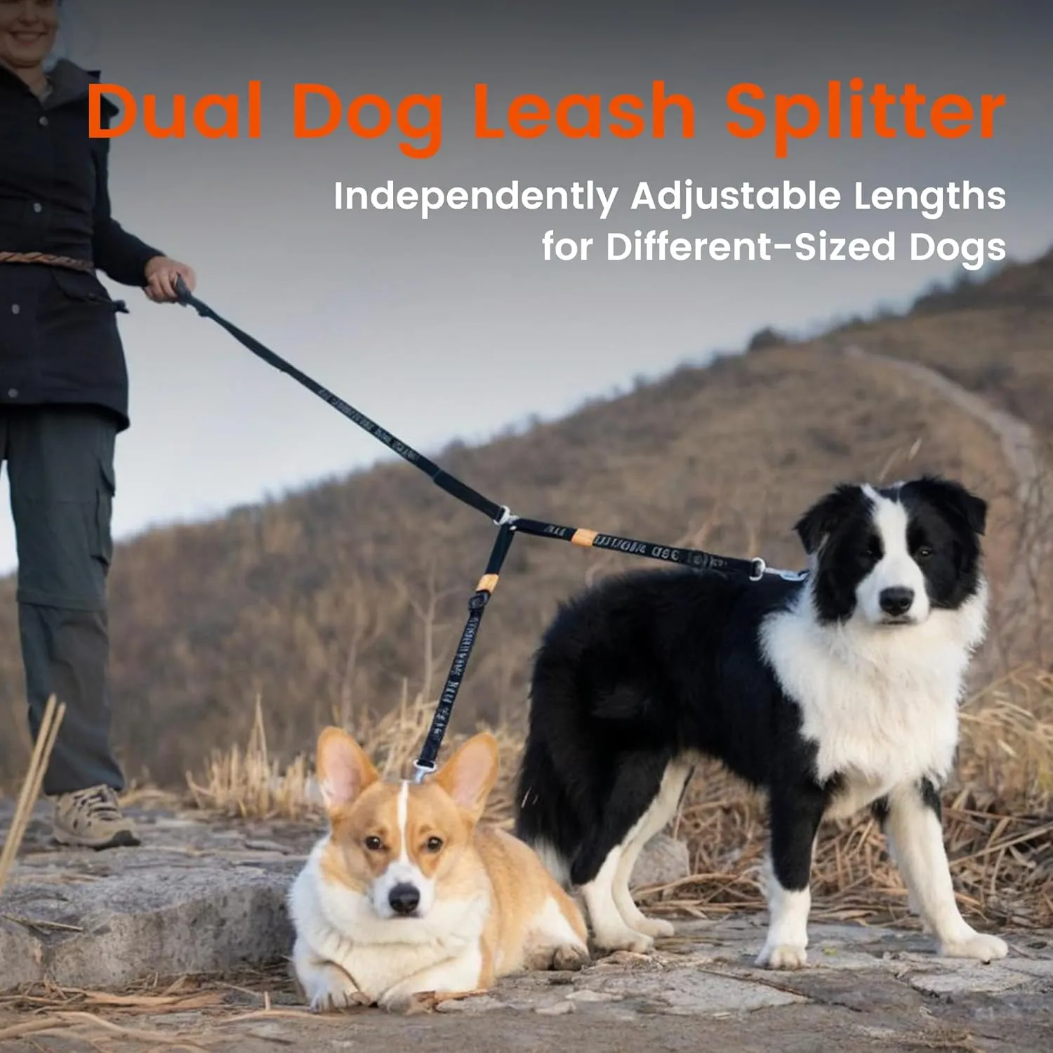 HOWGO Double Dog Leash, No Tangle 360° Swivel, Adjustable Two Padded Handles, Double Clip Dog Leash Coupler Splitter for Large and Medium Breeds (Black, 4/5'' x 4.8 FT)