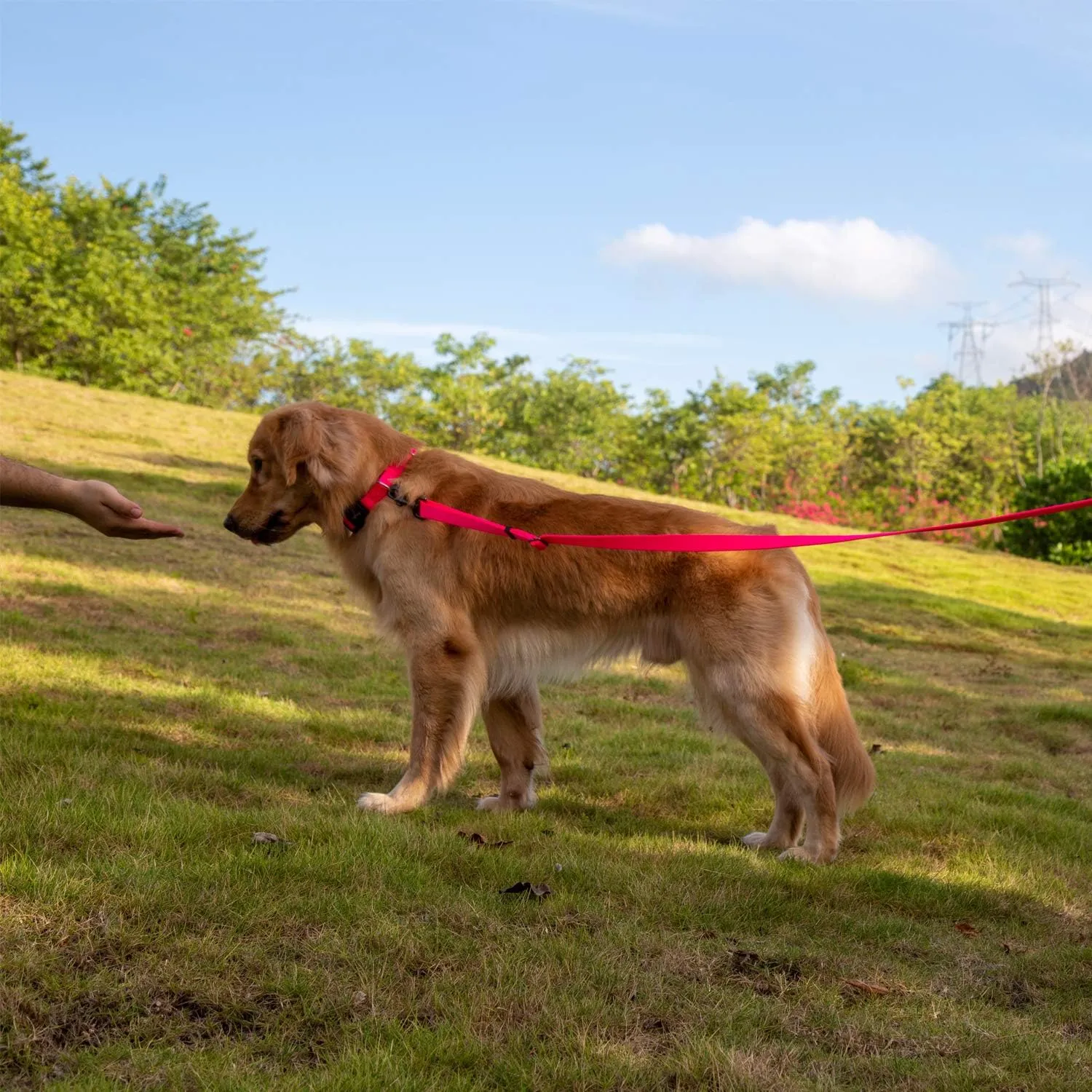 Hyhug Pets Premium Adjustable 6 Feet Leash with Super Soft Neoprene Padded Handle - Heavy Duty Nylon Lead for Medium Large Giant DogsTraining and Daily Use. (Large, Hot Pink)