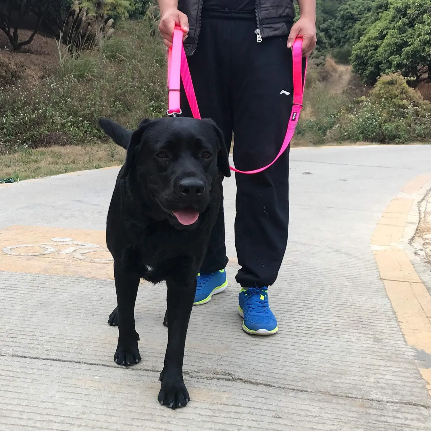 Hyhug Pets Premium Adjustable 6 Feet Leash with Super Soft Neoprene Padded Handle - Heavy Duty Nylon Lead for Medium Large Giant DogsTraining and Daily Use. (Large, Hot Pink)