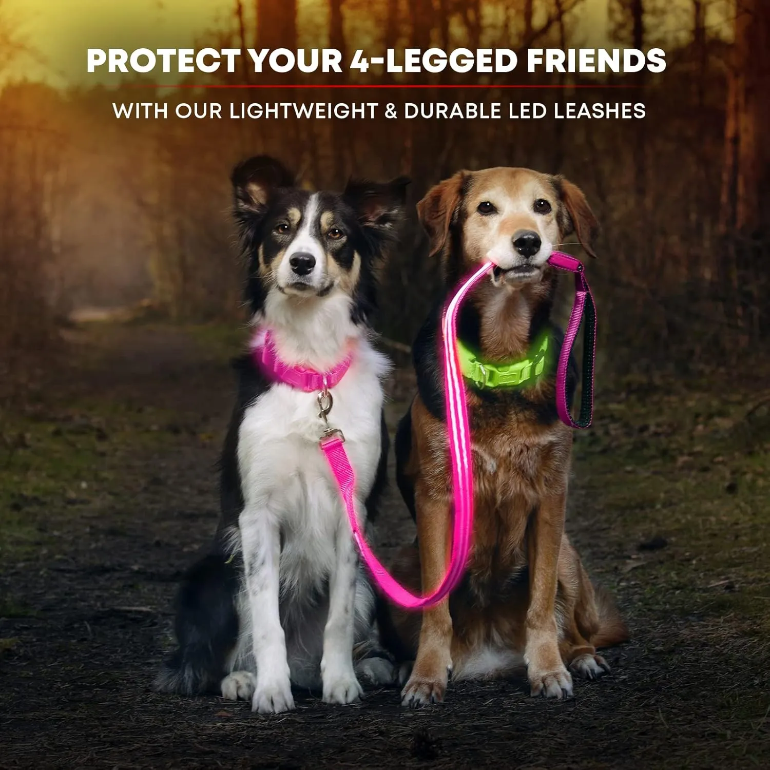 Illumiseen LED Light Up Dog Leash | Ultra High Visibility Up to 350 Yards | 3 Lighting Modes | USB Rechargeable, No Batteries Needed | Padded Handle & Rotating Swivel Clasp to Prevent Leash Tangling