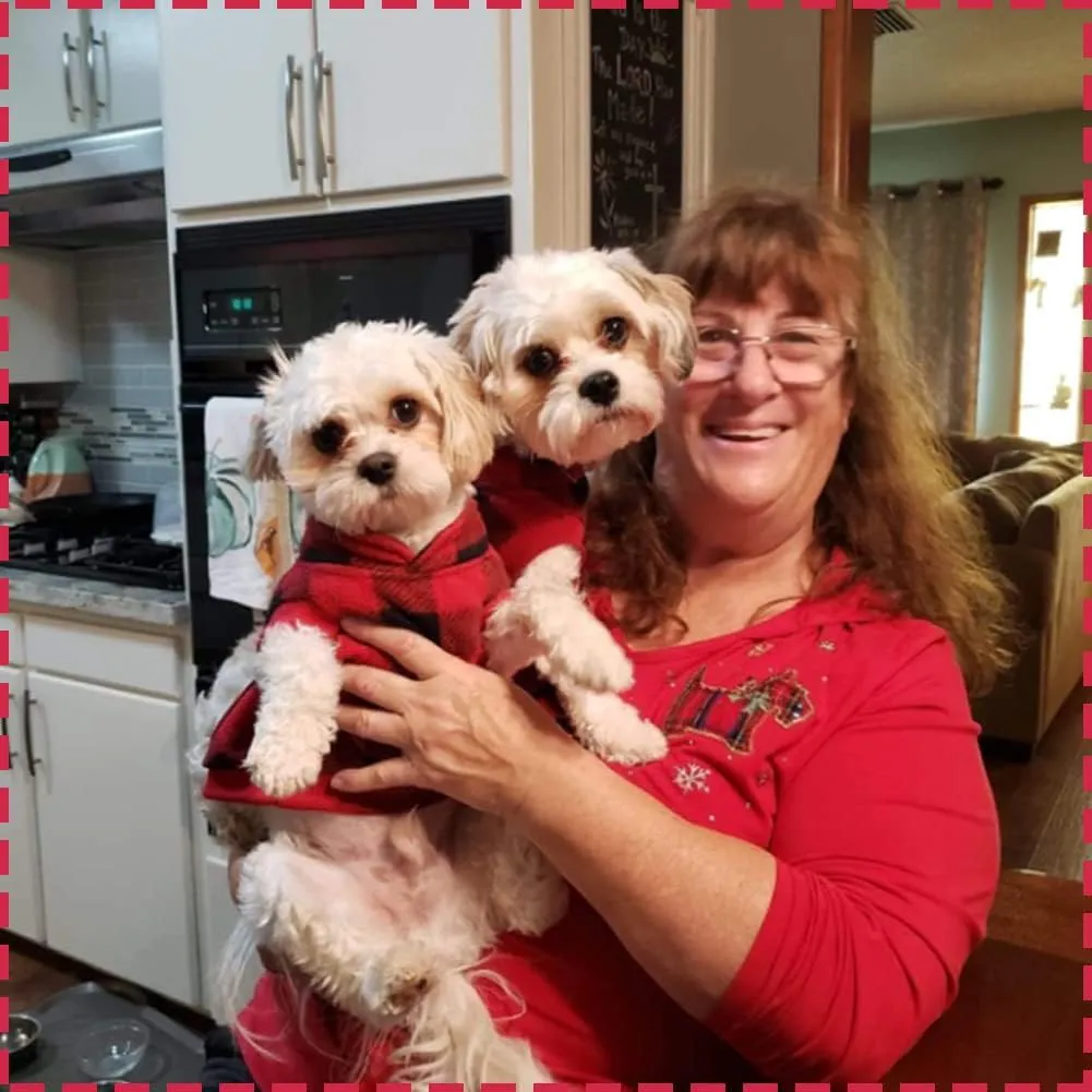 KOOLTAIL Small Dog Winter Jacket, Vest Sweater with Pocket, Leash Hole, Windproof, Red Plaid