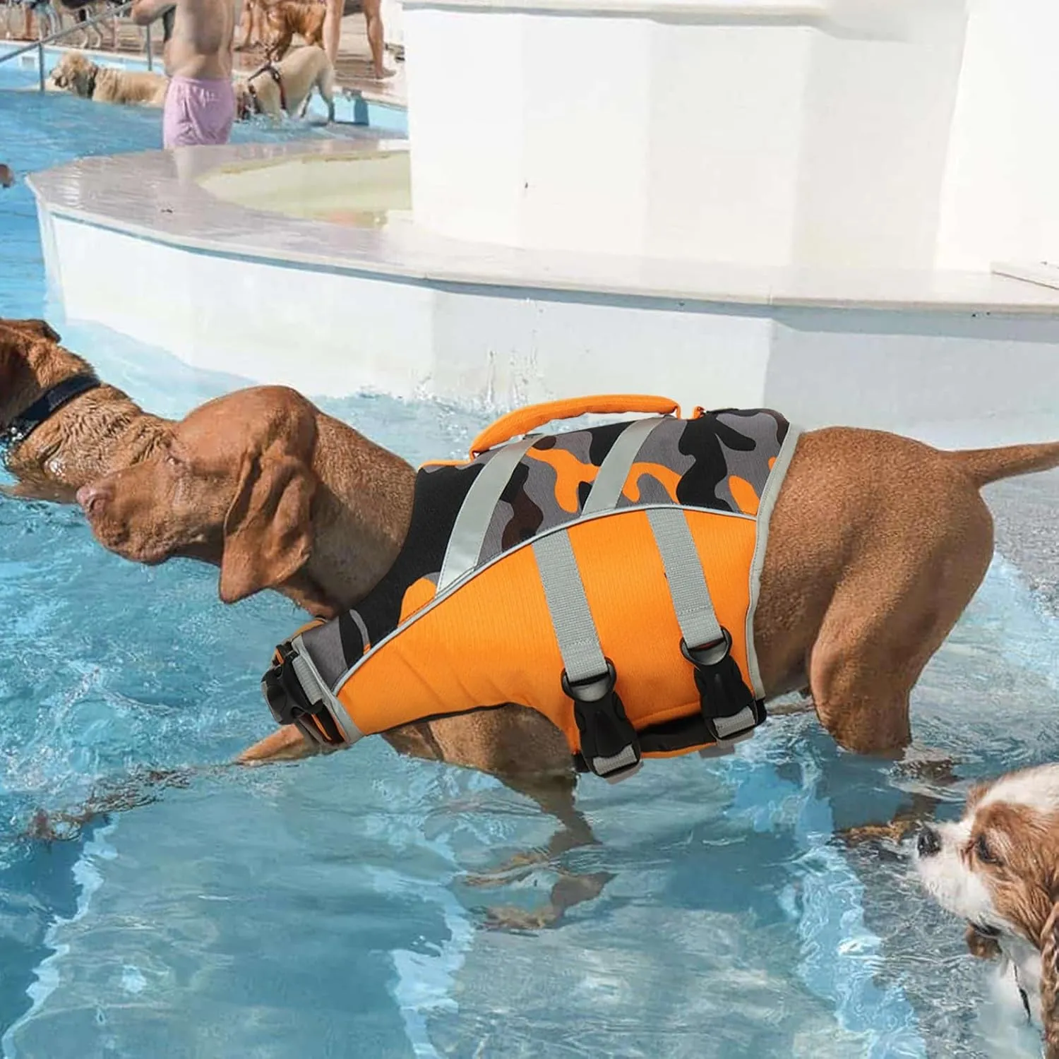 Kuoser Adjustable High Visibility Dog Life Vest, Ripstop Dog Lifesaver Pet Life Preserver with High Flotation Swimsuit, Reflective Stripes for Small Medium & Large Dogs
