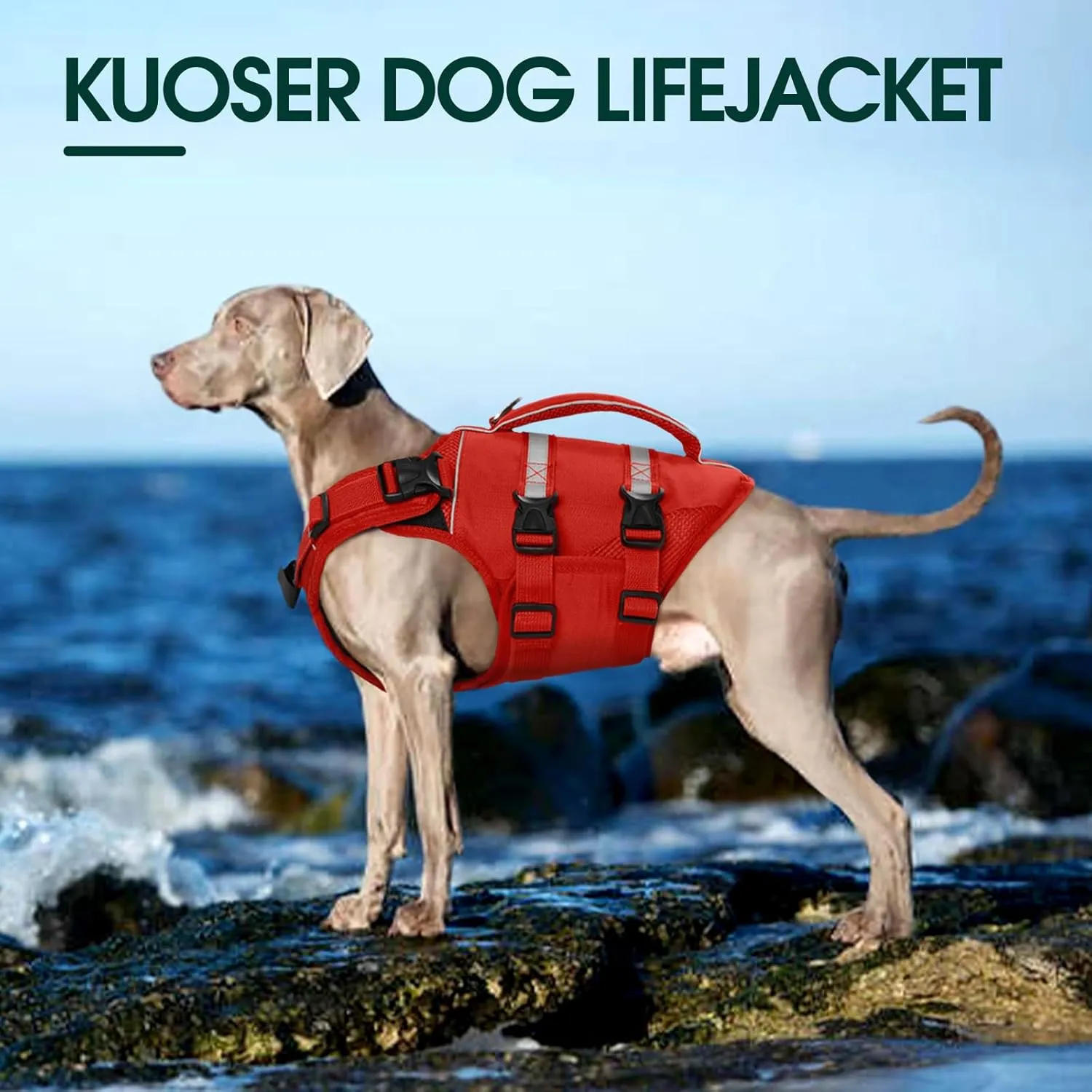 Kuoser Dog Life Jacket, High Flotation Dog Life Vest for Swimming Boating, Adjustable Ripstop Pet Lifesaver for Small Medium and Large Dogs, Reflective Safety Puppy Swimming Vest with Rescue Handle