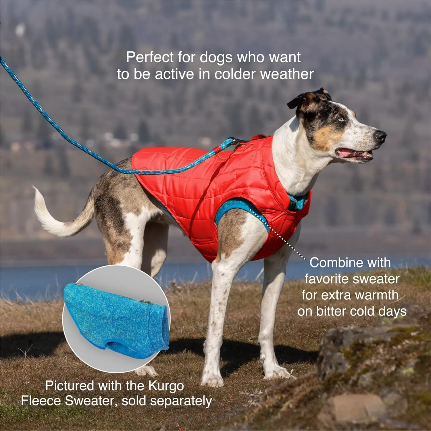 Kurgo Loft Dog Jacket, Reversible Dog Coat, Wear with Harness or Sweater, Water Resistant, Reflective, Winter Coat for Large Dogs (Chili Red, L)