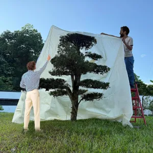 Large Plant Protector, Frost Proof Fabric Drawstring Bag Set, Extra Large Plant Frost Cover, Plant Insulation Cover for Garden Plants, Winter, 98″L x 142″H