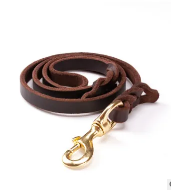 Leather Leash