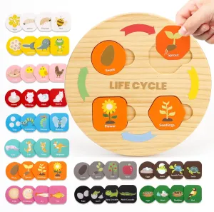 Life Cycle Toys for Kids, 12 Themes Montessori Preschool Science Center Materials, Wooden Learning & Educational Toys for Toddlers, Learning Game Travel Gift STEM Toys for Boys Girls Age 3-6