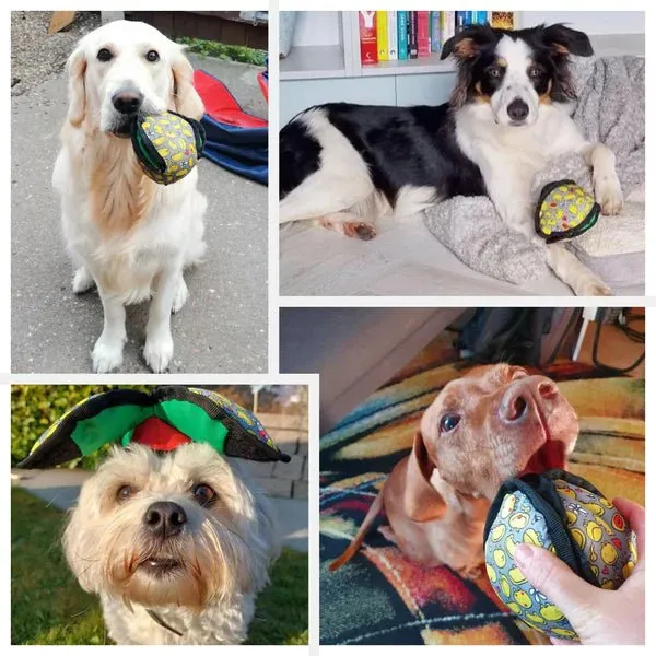 Lotus Treat Dispensing Puzzle Dog Toy