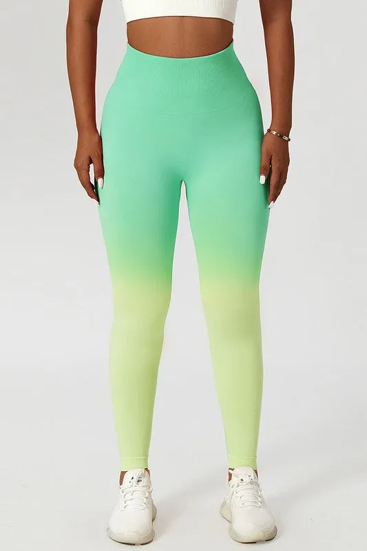 LT Perky Sets 2 Ombre Leggings