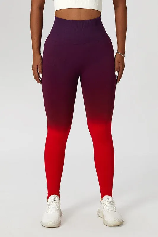 LT Perky Sets 2 Ombre Leggings