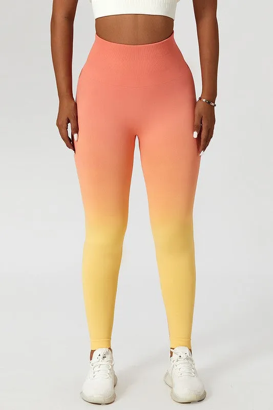 LT Perky Sets 2 Ombre Leggings