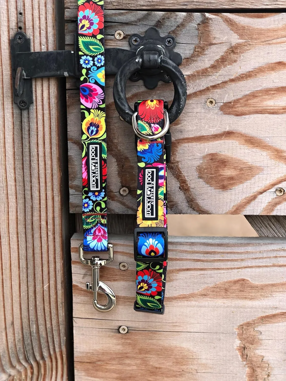 Lucky Love Dog Leash, Beautiful Vivid Patterns, Durable & Long Lasting (Blackbird, Small)