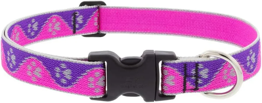 Lupine Reflective Dog Collar 1" Wide Pink Paws Adjusts from 12" to 20"