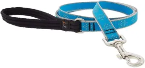Lupine Reflective Dog Leash 6-Foot by 3/4" Wide Blue Diamond
