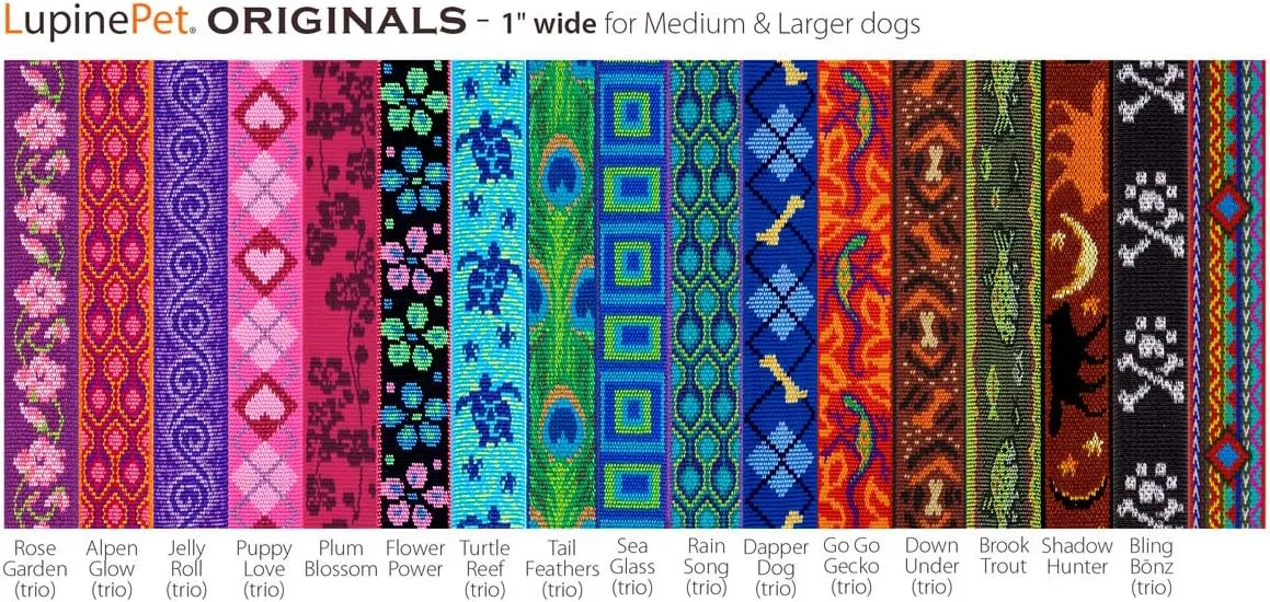 LupinePet Originals 1" Flower Power 11" Training Tab/Leash for Medium and Larger Dogs