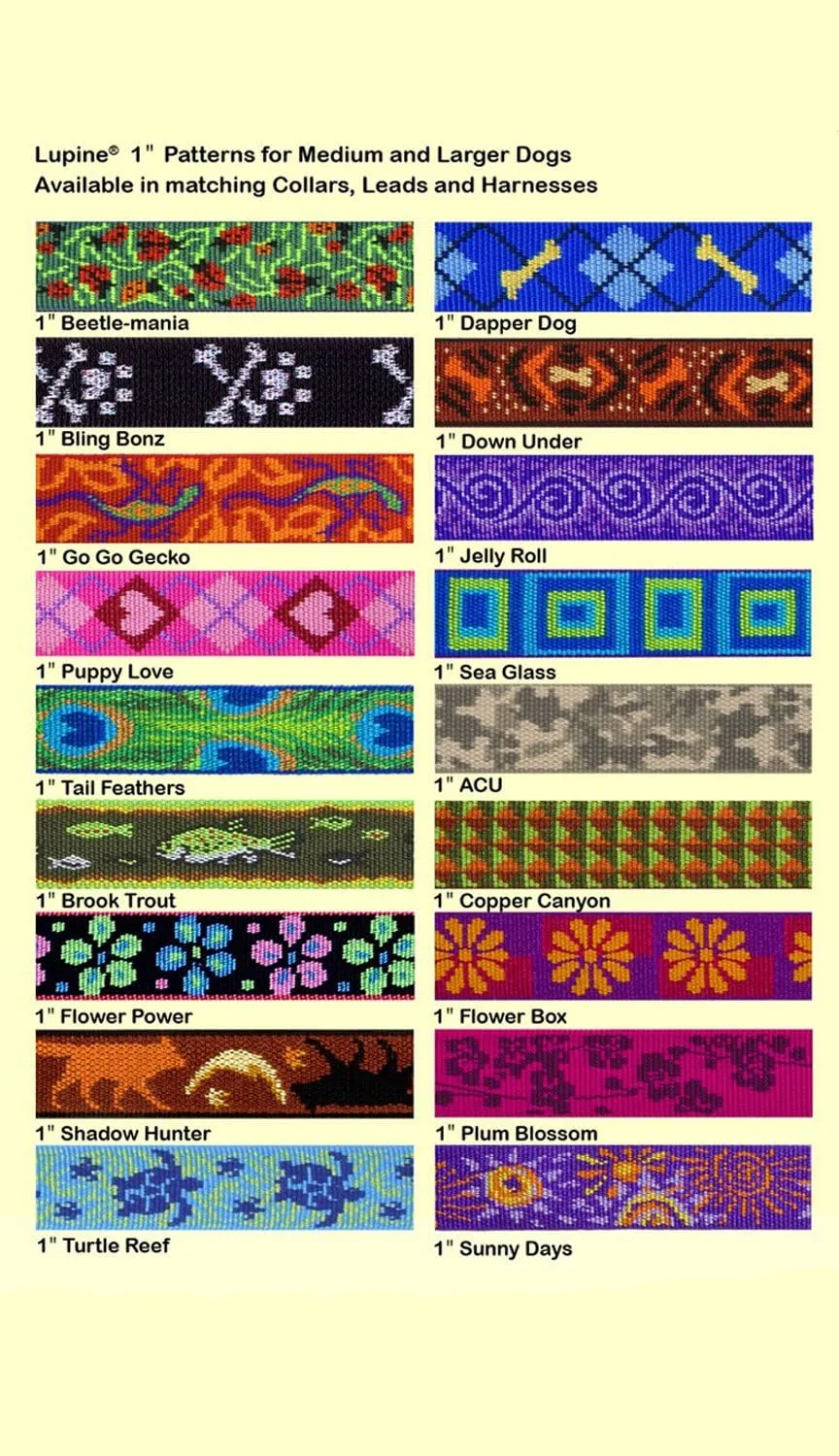 LupinePet Originals 1" Flower Power 16-24" Containment Collar Strap for Medium and Larger Dogs