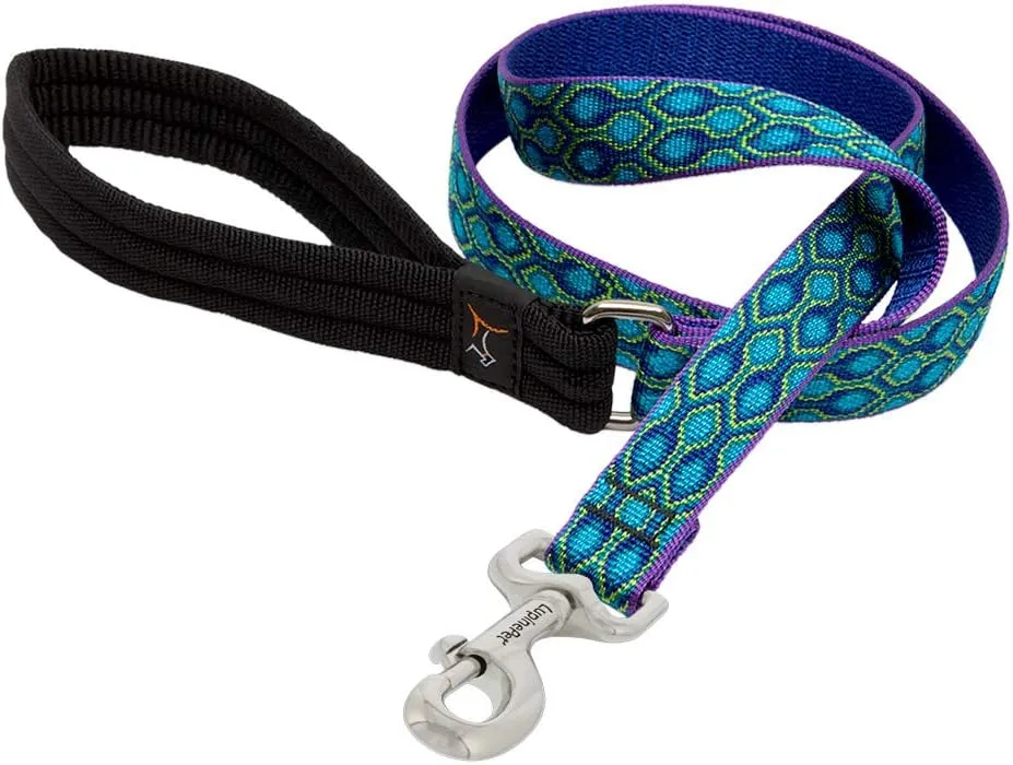 LupinePet Originals 1" Rain Song 6-Foot Padded Handle Leash for Medium and Larger Dogs
