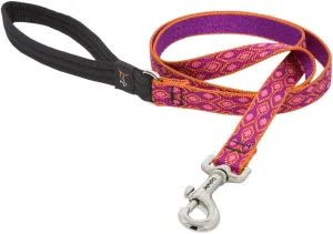 LupinePet Originals 3/4" Alpen Glow 4-Foot Padded Handle Leash for Medium and Larger Dogs