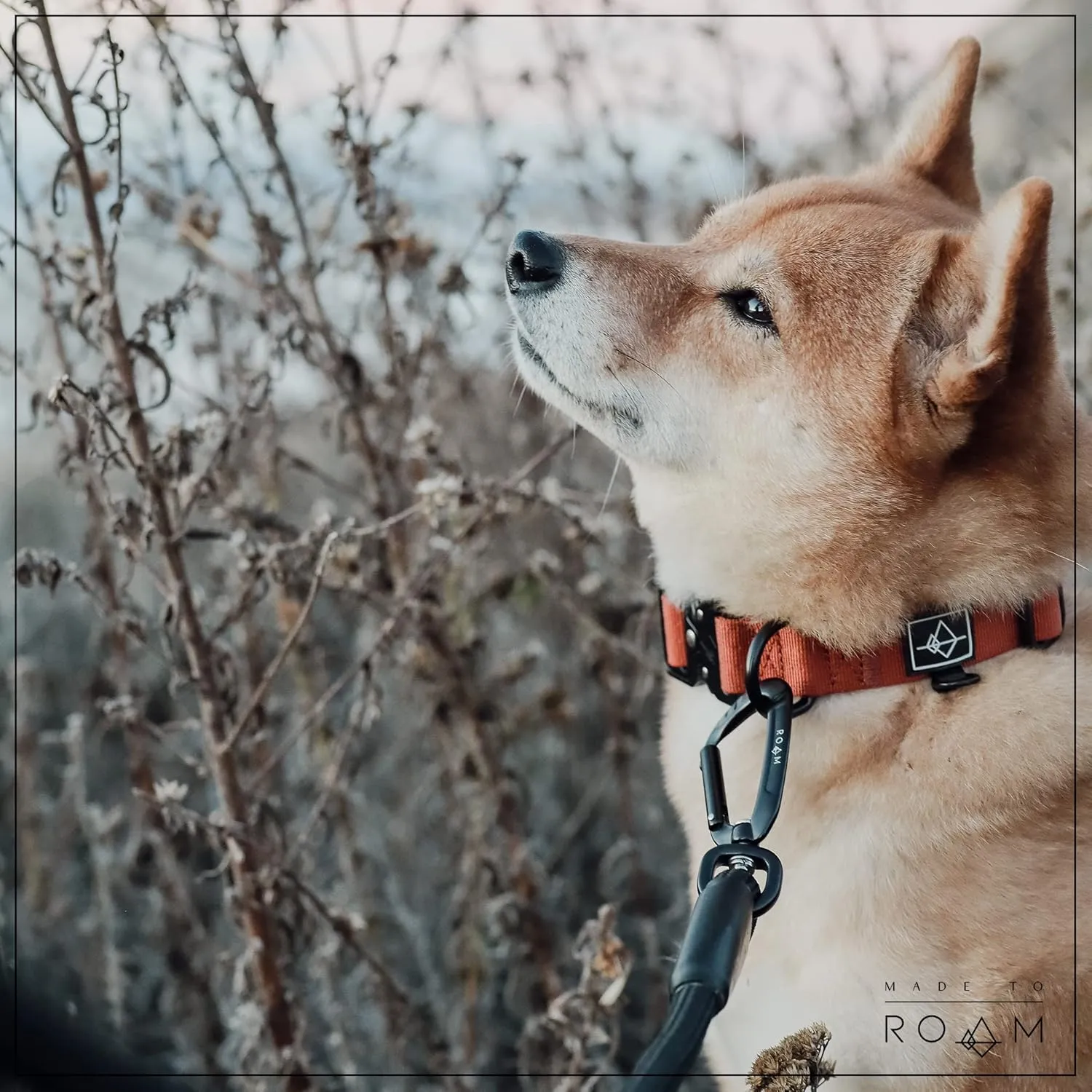 Made to ROAM Premium Dog Collar - Adjustable Heavy Duty Nylon Collar with Quick-Release Metal Buckle (Oregon Haze, Classic Size 0)