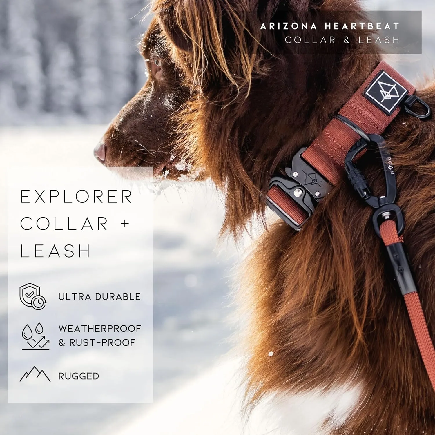 Made to ROAM Premium Dog Collar - Adjustable Heavy Duty Nylon Collar with Quick-Release Metal Buckle (Oregon Haze, Classic Size 4)