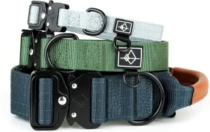 Made to ROAM Premium Dog Collar - Adjustable Heavy Duty Nylon Collar with Quick-Release Metal Buckle (Oregon Haze, Classic Size 4)
