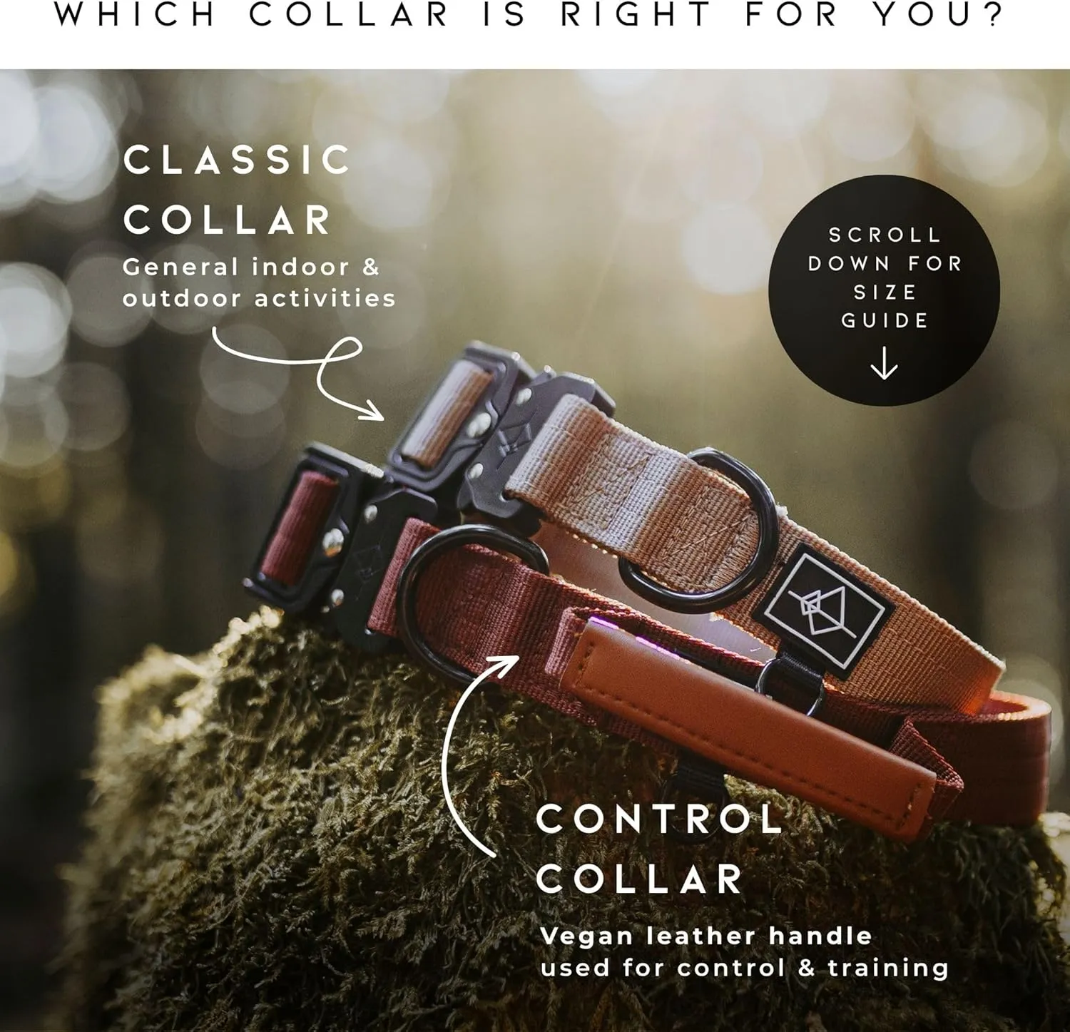 Made to ROAM Premium Dog Collar - Adjustable Heavy Duty Nylon Collar with Quick-Release Metal Buckle (Oregon Haze, Classic Size 4)