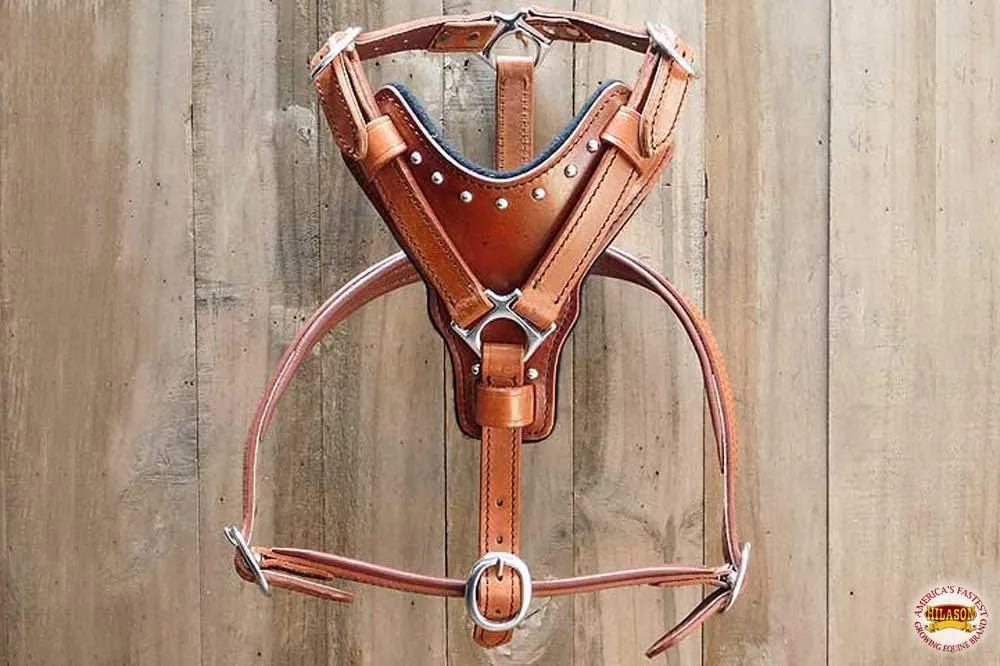 Mahogany X Small HILASON Leather Dog Harness with Leash