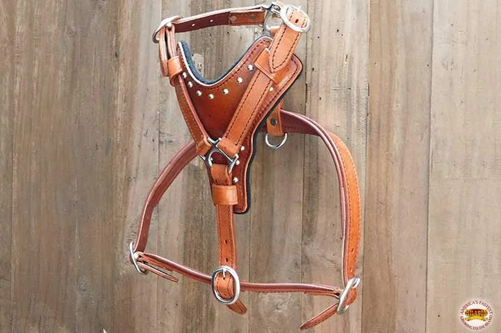 Mahogany X Small HILASON Leather Dog Harness with Leash