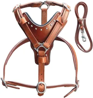 Mahogany X Small HILASON Leather Dog Harness with Leash