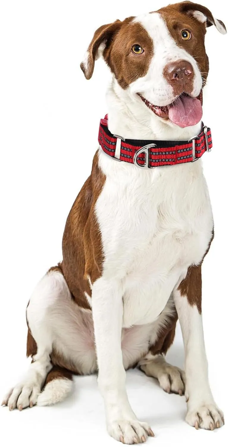Martingale Collar for Dogs - Reflective Nylon with Padded Comfort & Quick Release Buckle - No Slip Choke Heavy Duty Collar for Safe Training, Walking & Nighttime Use Red L