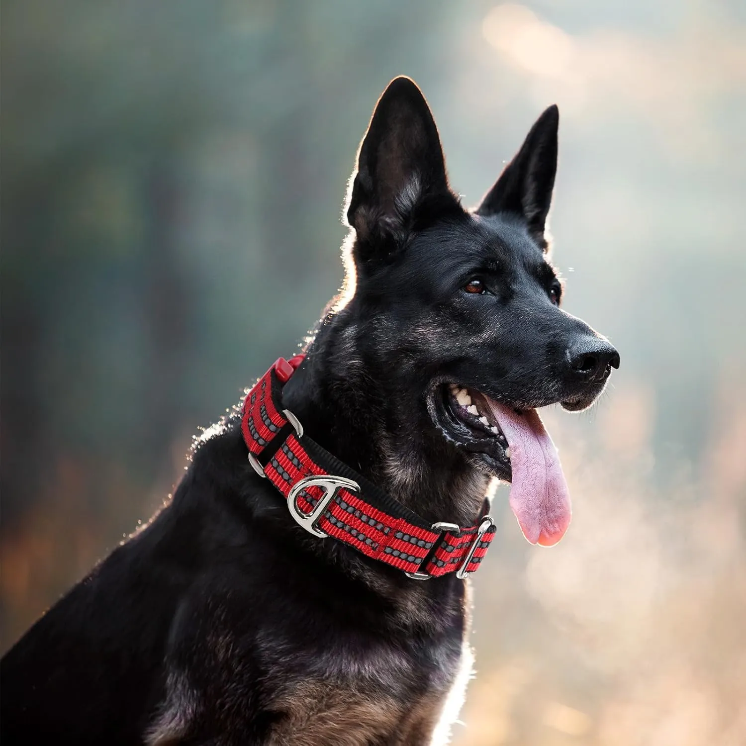 Martingale Collar for Dogs - Reflective Nylon with Padded Comfort & Quick Release Buckle - No Slip Choke Heavy Duty Collar for Safe Training, Walking & Nighttime Use Red L