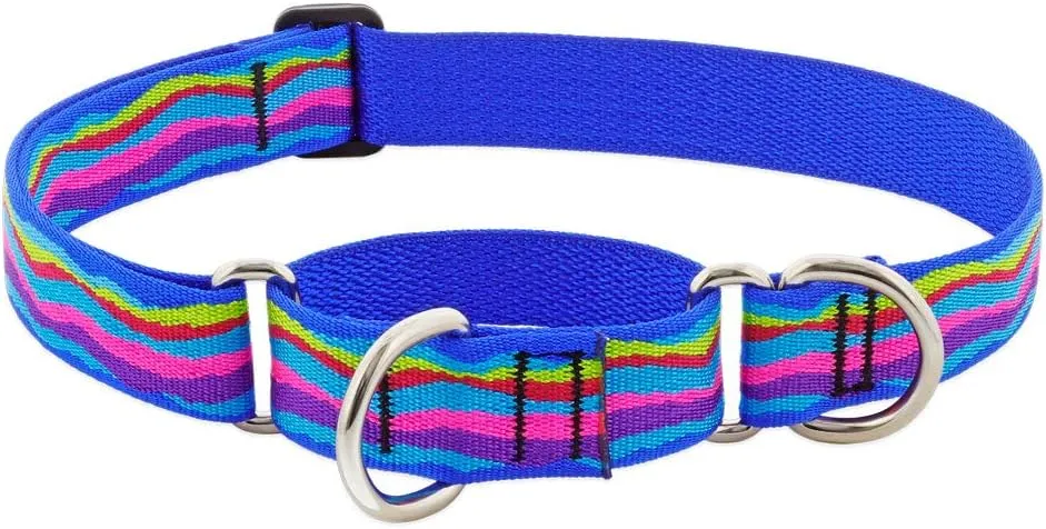 Martingale Dog Collar by Lupine 1" Wide Ripple Creek Design adjusts 15" to 22"