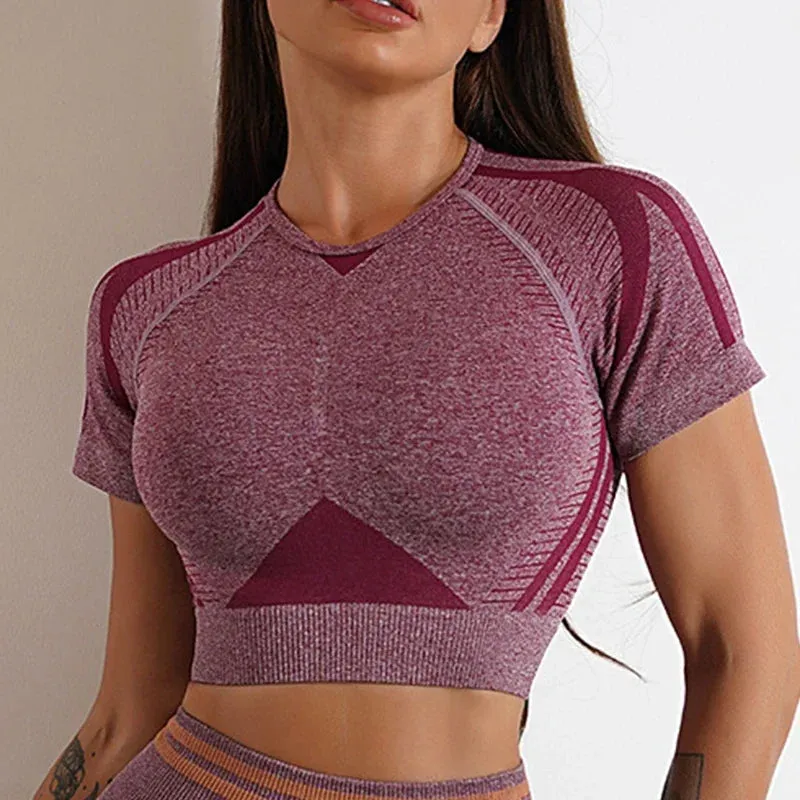 Move Like Diva Women's Seamless Ombre Short Sleeve Crop Top