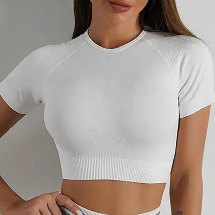 Move Like Diva Women's Seamless Ombre Short Sleeve Crop Top